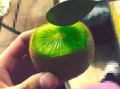 怎么吃抖音网红的瓜,揭秘网红美食背后的秘密