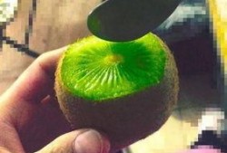怎么吃抖音网红的瓜,揭秘网红美食背后的秘密