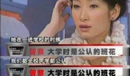 卓伟爆料曾黎近况视频全集,卓伟爆料视频全集深度解析